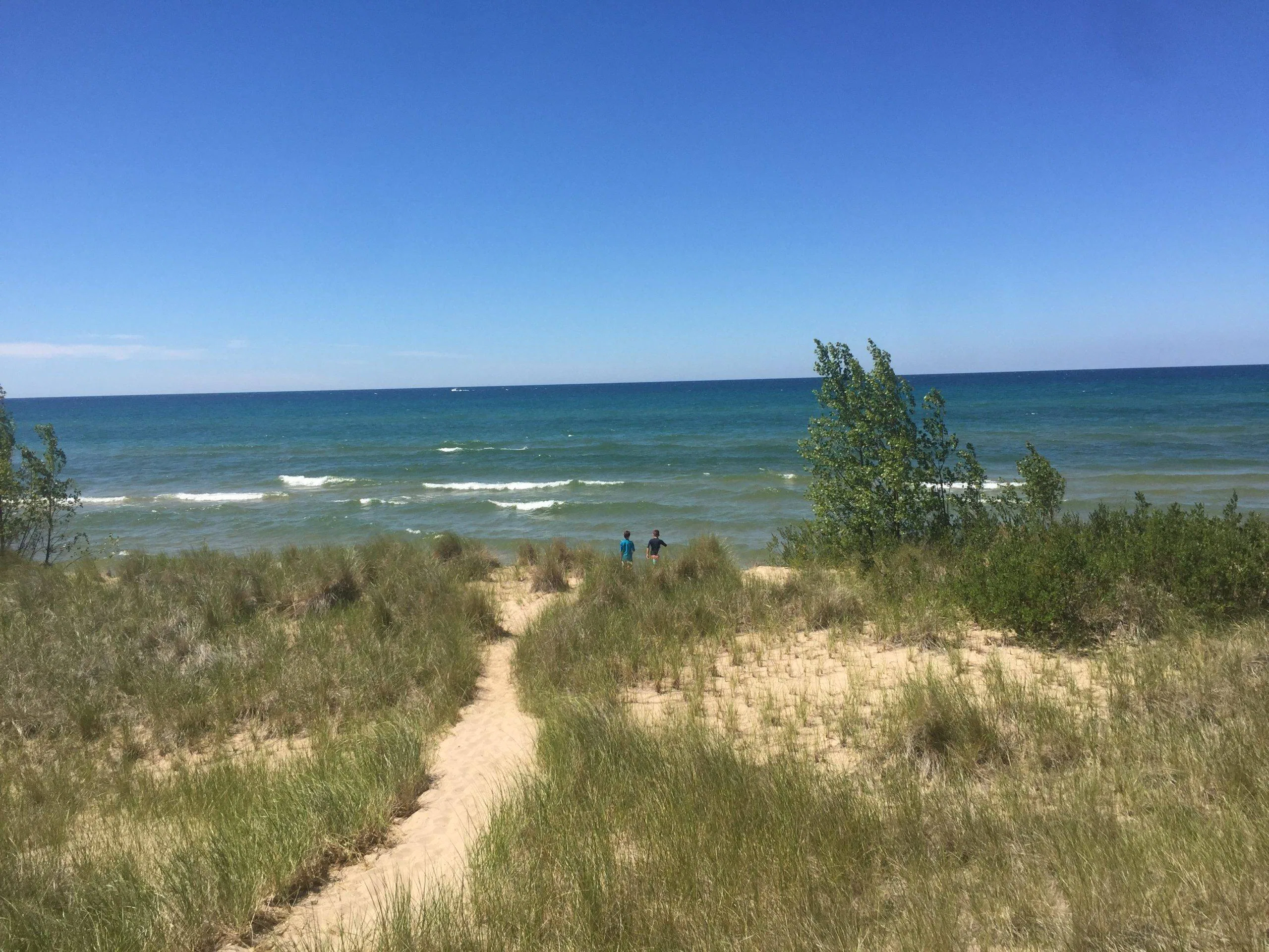 An Open Letter Harness the Times » Energy Flow Acupuncture & Wellness